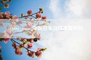 中卫中国冠军品牌是真的吗