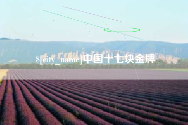 中卫中国十七块金牌