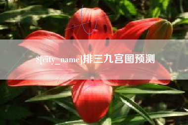 中卫排三九宫图预测