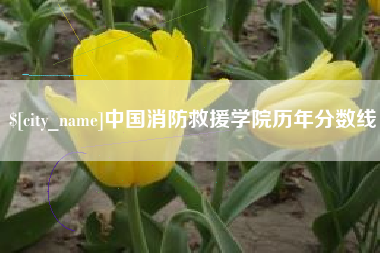 中卫中国消防救援学院历年分数线