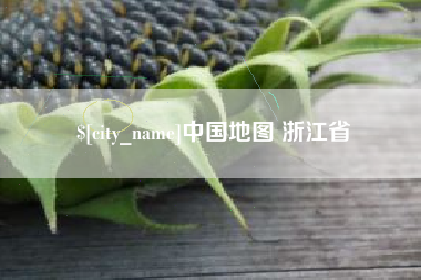 中卫中国地图 浙江省
