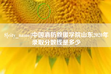 中卫中国消防救援学院山东2020年录取分数线是多少