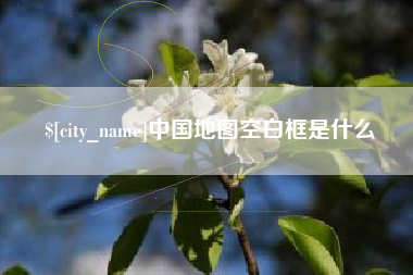 中卫中国地图空白框是什么