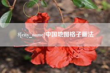 中卫中国地图格子画法