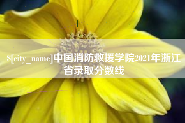 中卫中国消防救援学院2021年浙江省录取分数线