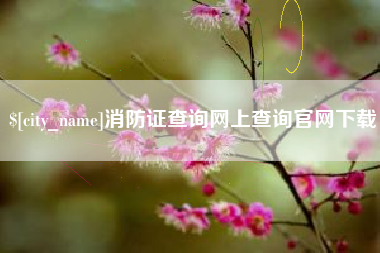 中卫消防证查询网上查询官网下载