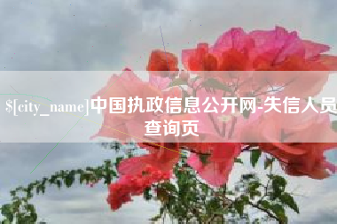 中卫中国执政信息公开网-失信人员查询页