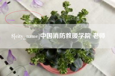 中卫中国消防救援学院 老师