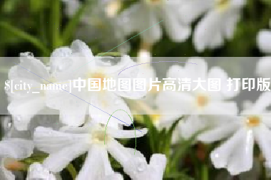 中卫中国地图图片高清大图 打印版
