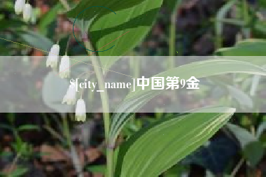 中卫中国第9金