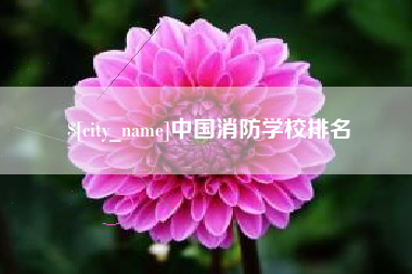 中卫中国消防学校排名