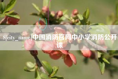 中卫中国消防官网中小学消防公开课