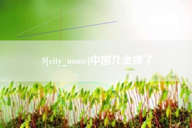 中卫中国几金牌了
