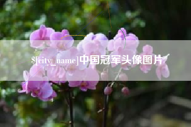 中卫中国冠军头像图片
