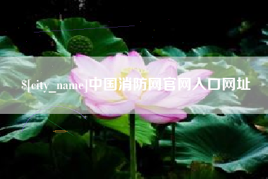 中卫中国消防网官网入口网址