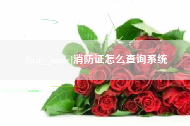 中卫消防证怎么查询系统
