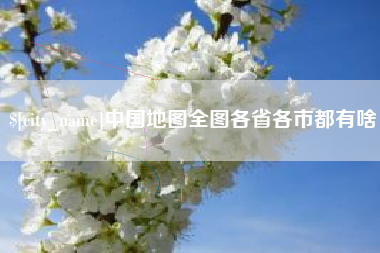 中卫中国地图全图各省各市都有啥