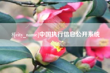 中卫中国执行信息公开系统