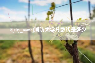 中卫消防大学分数线是多少