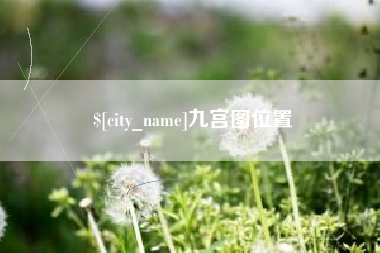中卫九宫图位置