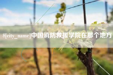 中卫中国消防救援学院在那个地方