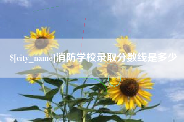 中卫消防学校录取分数线是多少