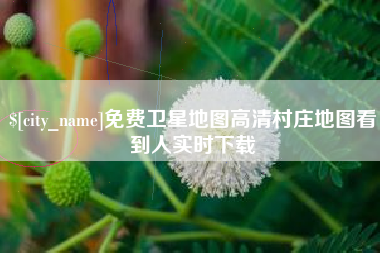 中卫免费卫星地图高清村庄地图看到人实时下载