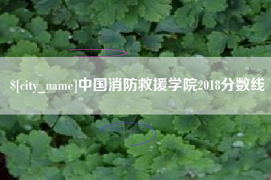 中卫中国消防救援学院2018分数线