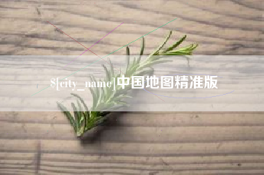 中卫中国地图精准版