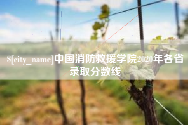 中卫中国消防救援学院2020年各省录取分数线