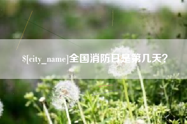 中卫全国消防日是第几天？