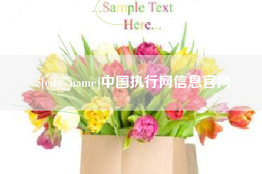 中卫中国执行网信息官网