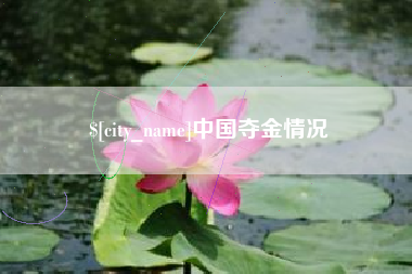 中卫中国夺金情况