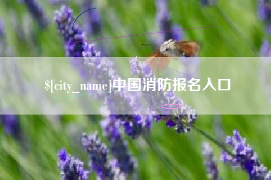 中卫中国消防报名入口