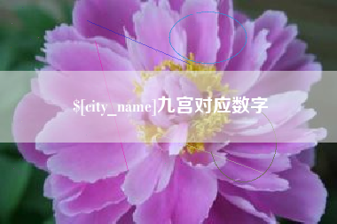 中卫九宫对应数字