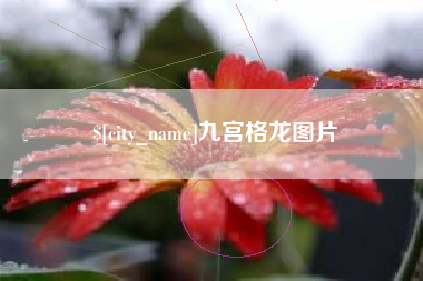 中卫九宫格龙图片