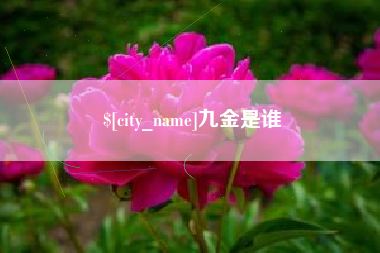 中卫九金是谁