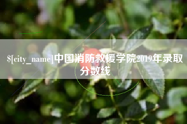 中卫中国消防救援学院2019年录取分数线