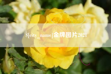 中卫金牌图片2021