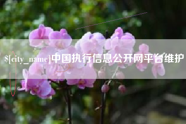 中卫中国执行信息公开网平台维护