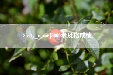 中卫5000米及格成绩