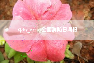 中卫全国消防日海报