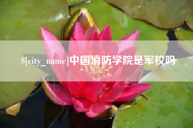 中卫中国消防学院是军校吗