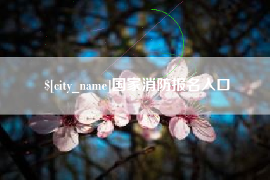 中卫国家消防报名入口