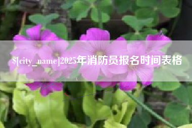 中卫2025年消防员报名时间表格