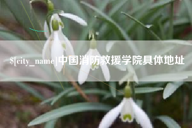 中卫中国消防救援学院具体地址