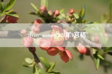 中卫2021年9宫格