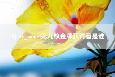 中卫第九枚金牌获得者是谁