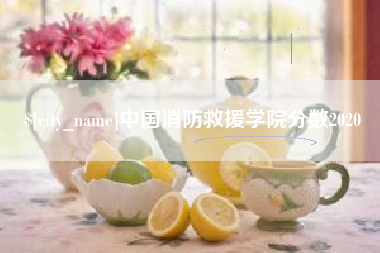 中卫中国消防救援学院分数2020