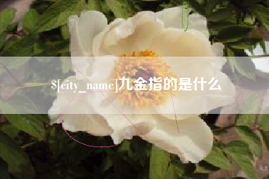 中卫九金指的是什么